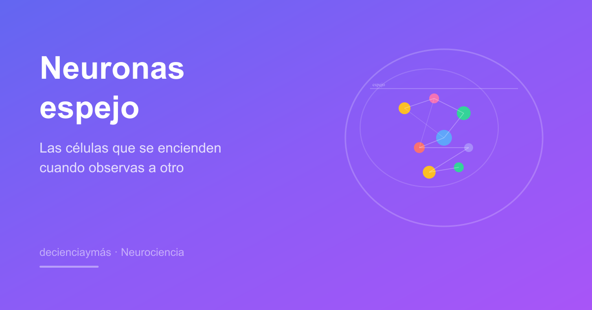 Las neuronas espejo